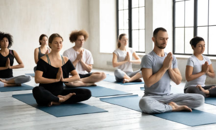 group of people performing yoga